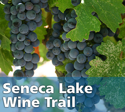 Senece Lake Wine Trail