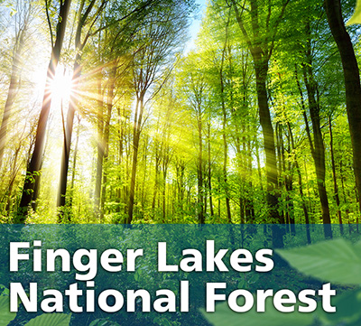 Finger Lakes National Forest